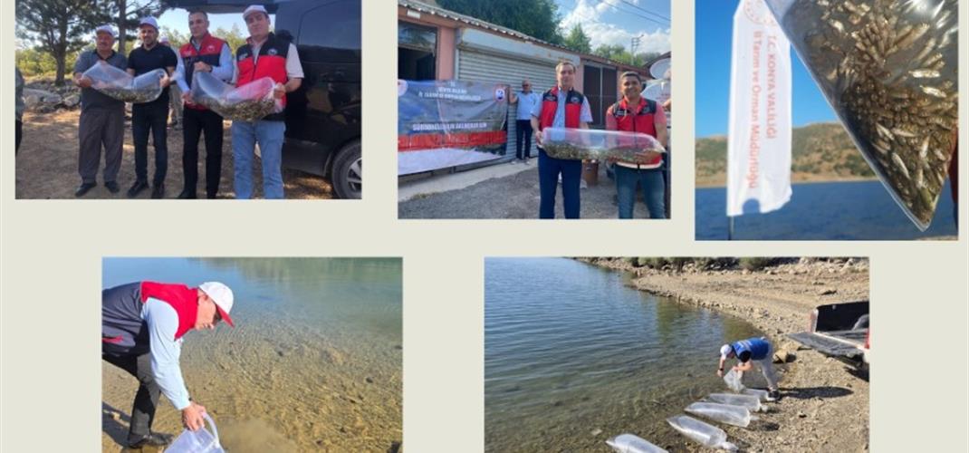 2.976.200 ADET SAZAN YAVRUSU BIRAKARAK KAYNAKLARIMIZI DESTEKLİYORUZ
