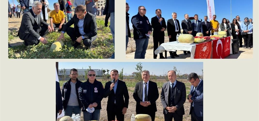 “Kartopu Yem Karpuzunun Yaygınlaştırılması” Projesi ile Konya’da yeni bir adım!
