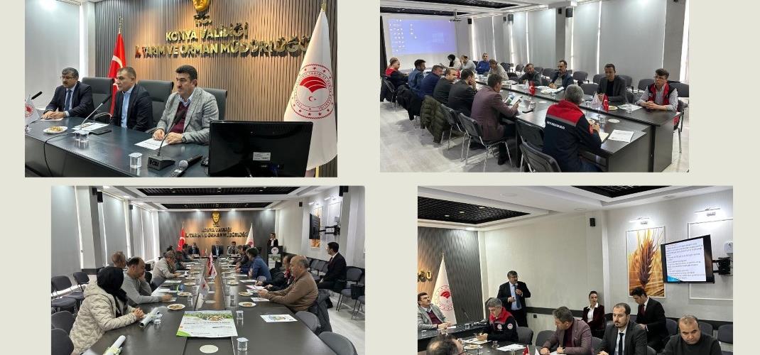 Su Kısıtı İlçelerinde Silajlık Mısıra Alternatif Sorgum Türleri Yetiştiriciliğinin Yaygınlaştırılması Projesi Açılışı Yapıldı