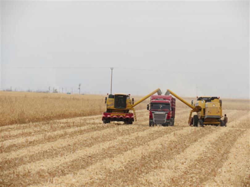 Agriculture in Konya